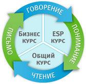 Корпоративное обучение английскому языку в Вашем офисе